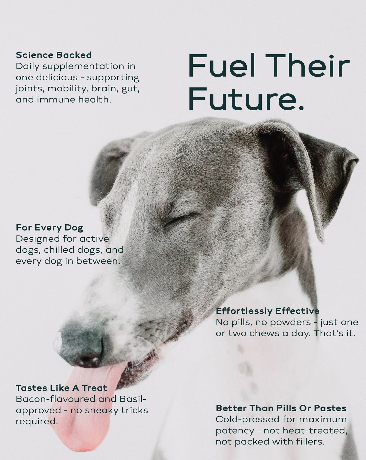 hund Daily Supplements