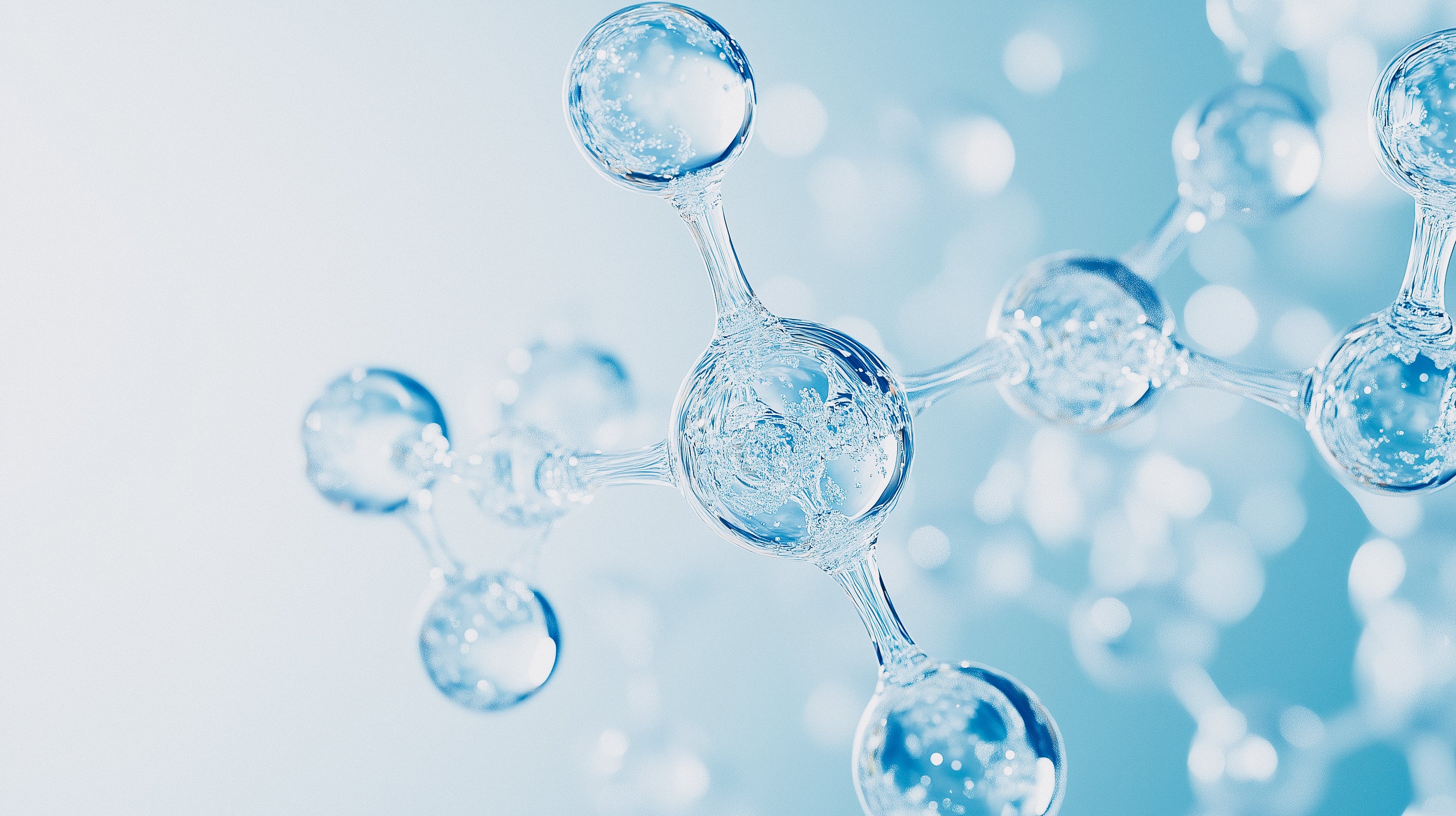 hund key ingredient Hyaluronic Acid - An advanced joint lubricant for fast-acting mobility support.