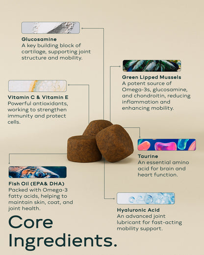 hund Daily Supplements