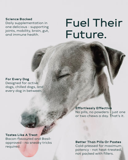hund Daily Supplements