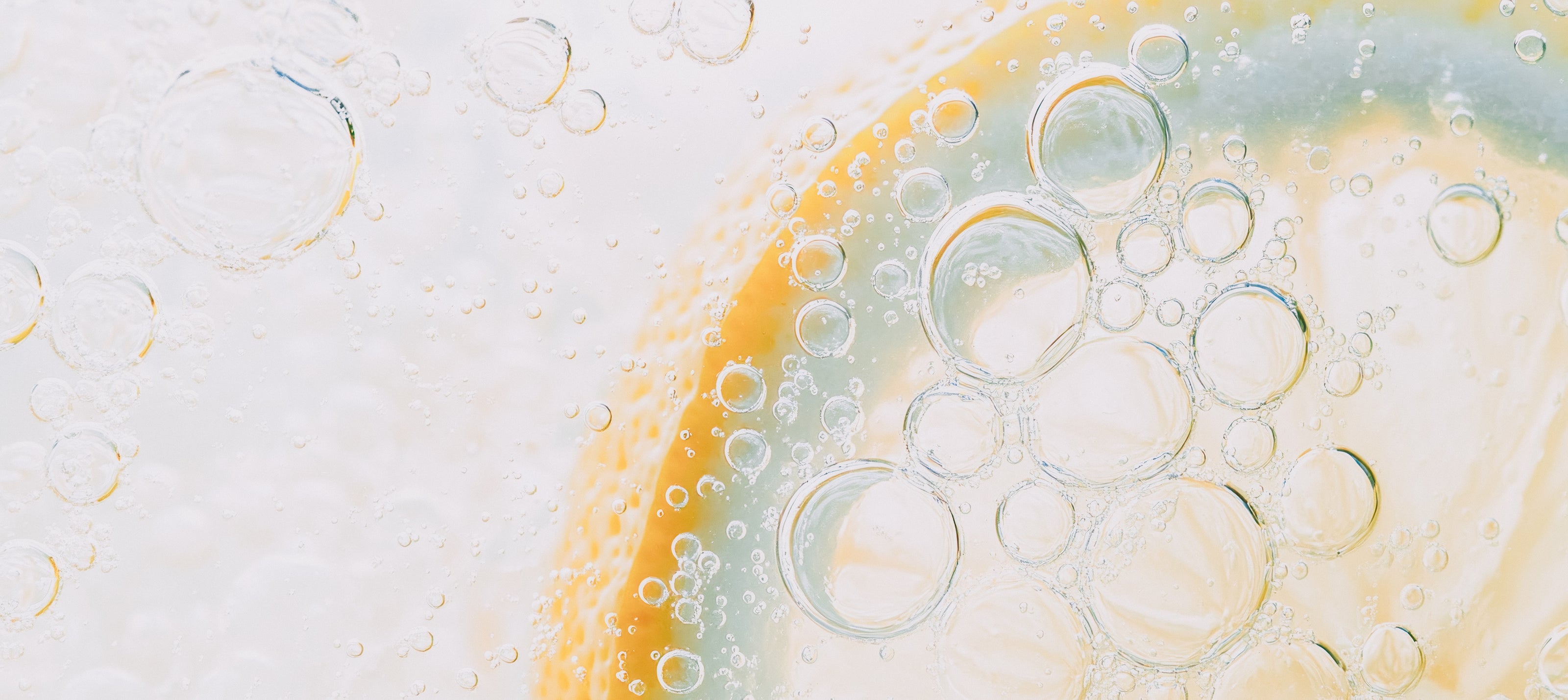 Vitamin C & Vitamin E hund key ingredients to strengthen immunity and protect cells.